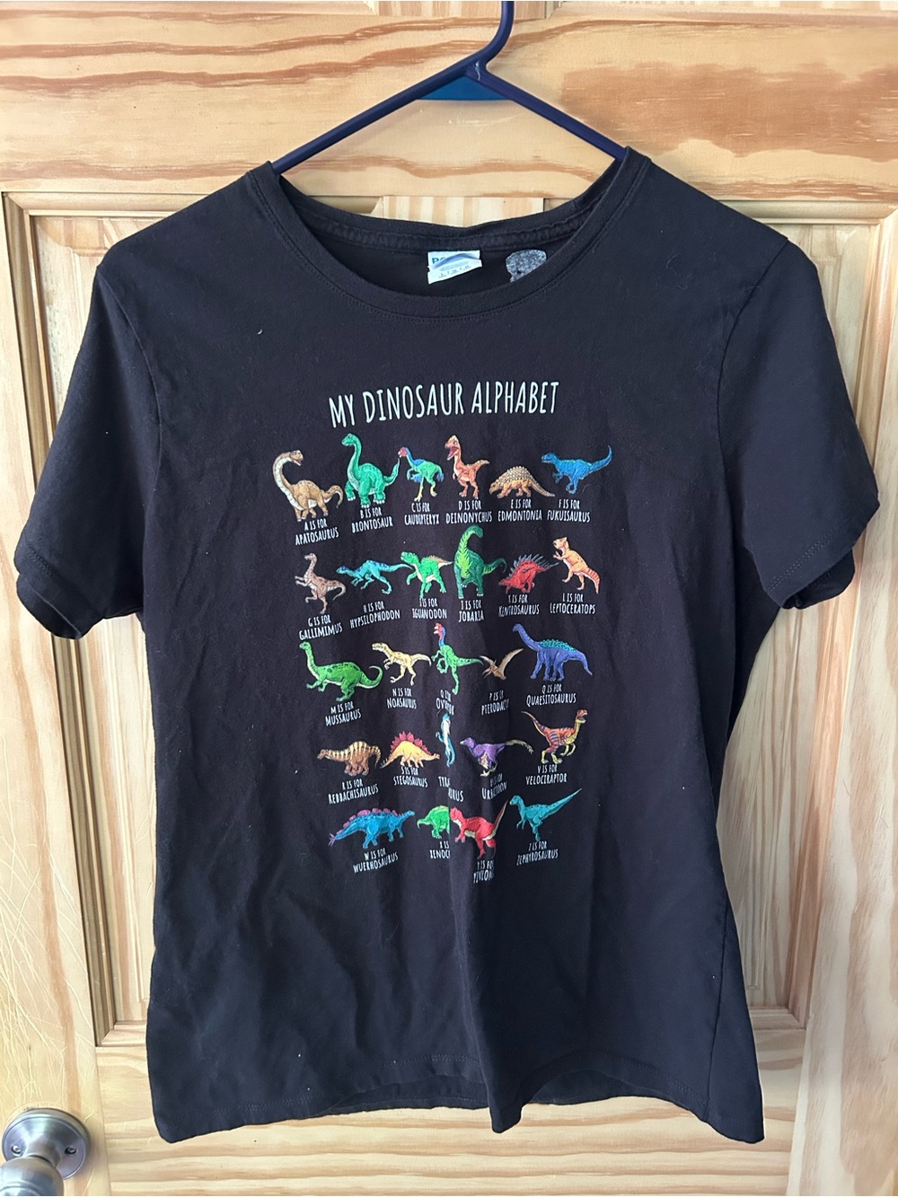 "My Dinosaur Alphabet" Black Graphic Tee